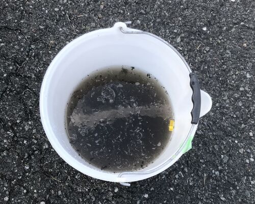 06F23B41-798E-47C2-B6C2-219CE600FB0C