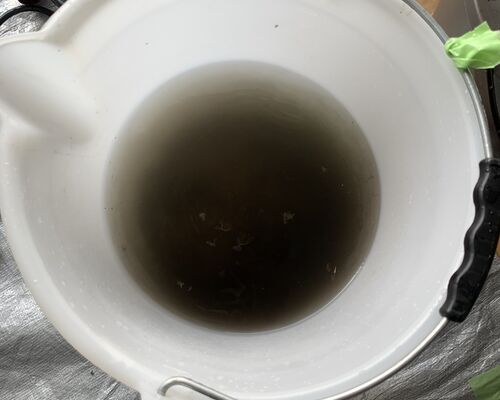 23A682C7-4646-4832-BA26-4C70224E8545